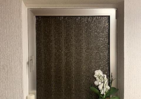 Pulsmeßgerät - 2/4